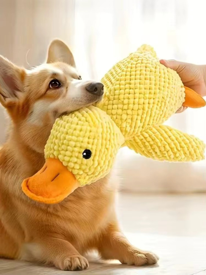 Kaubare Plüsch-Ente, Hundespielzeug - Bild 4