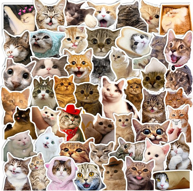 Süße Katzen Meme Aufkleber Set in Multicolour für DIY Scrapbooking, Laptop, Koffer und Kinder - Bild 1