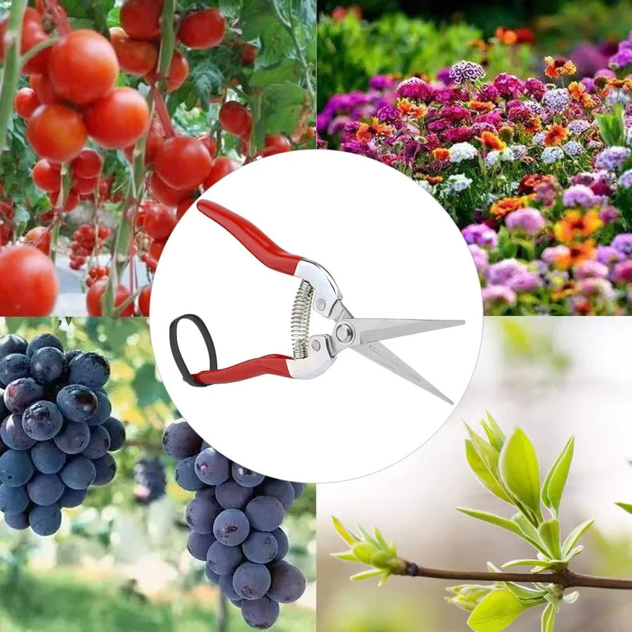 Skeyo Gartenschere Rot für Pflanzenschnitte und Floristen - Bild 5