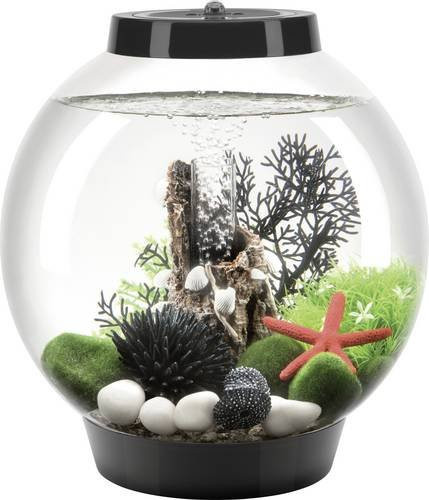 Oase biOrb CLASSIC 15 LED Aquarium in Schwarz mit 15 l Volumen - Bild 1