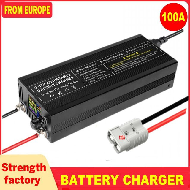 Schnelles LiFePO4 Ladegerät für 12V Auto-Lithium-Batterien mit Display in Schwarz - Bild 1