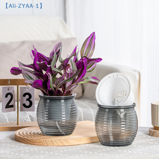 JETTING Selbstbewässernder Pflanztopf aus Kunststoff, doppelschichtige transparente Blumenvase in Rot, modern und rund für die Tischdekoration - Bild 1