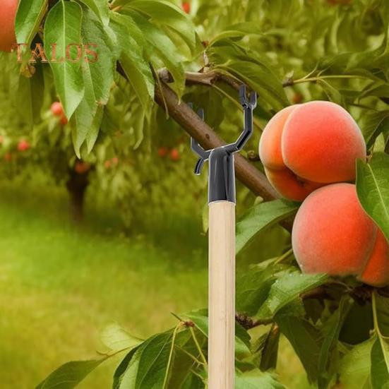 8 Stück Aststützen aus Metall in Schwarz für Obstbäume und Garten - Bild 6