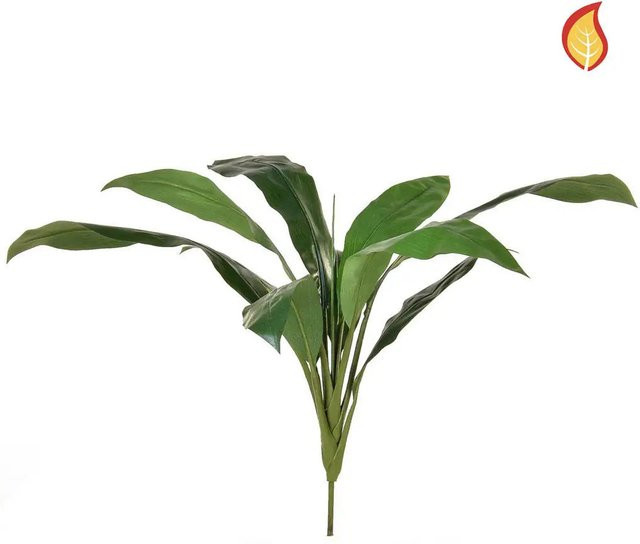 Künstliche Cordyline Doris von Aplanta, Grün, Höhe: 74 cm - Bild 1
