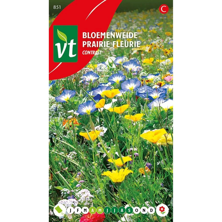 Arborix Blumenwiese Kontrast Samen mit kontrastreichen Blüten, 2,5 g - Bild 2