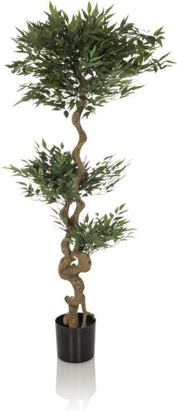 Kunstpflanze Acacia von hjh OFFICE in Grün, Höhe: 155 cm - Bild 1