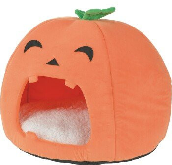 FIT+FUN Halloween Kürbis Höhle für Haustiere in Orange, B/T/H: 45 x 45 x 45 cm - Bild 1