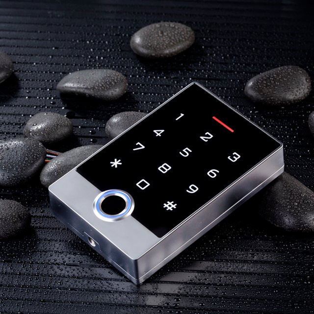 LUCKING DOOR Schlüsselloses Türschloss in Silber mit Tuya App Unterstützung, Fingerabdruck-Zugangskontrolle, Tastatur, RFID-Karte und Fernentriegelung, wasserdicht für den Außenbereich - Bild 1