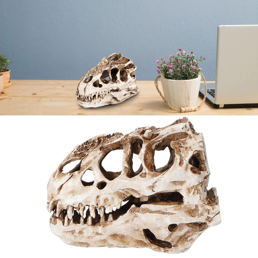 mfySpace Dinosaurier-Schädel aus Harz als Deko-Ornament für Halloween und Sammler, B/T/H: 15 x 15 x 8 cm - Bild 4