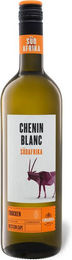 CIMAROSA Chenin Blanc Weißwein 2024, Südafrika Western Cape, trocken, 0,75 l - Bild 1