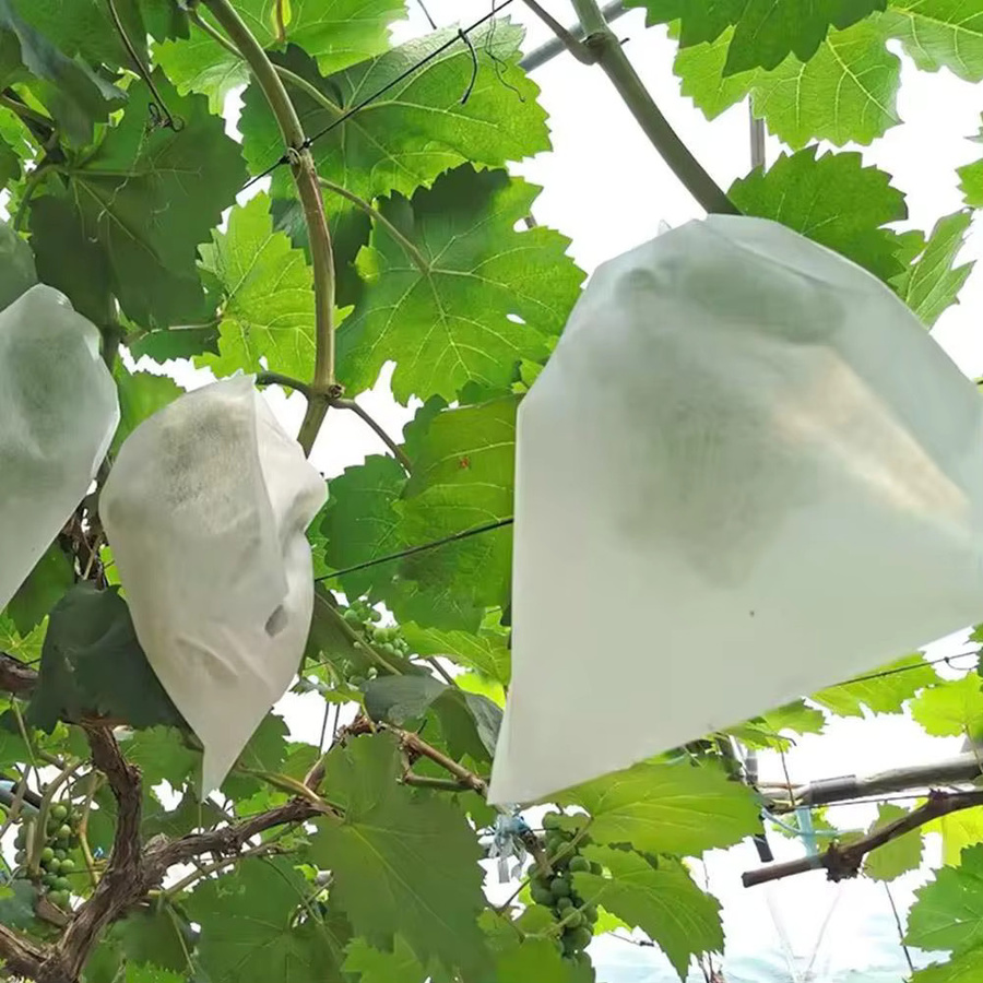 Wasserdichte Obst- und Gemüse-Schutztasche aus Vlies als Anti-Insekten- und Anti-Vogel-Netz für Pflanzen und Sämlinge in Weiß - Bild 3
