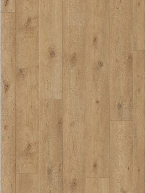 Parador Laminatbodenmuster Trendtime 6 Eiche Everglade Natur Braun - Bild 1