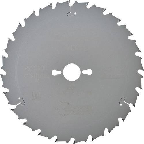 DeWalt Kreissägeblatt DT4202-QZ für Holz und Kunststoff, Carbide Tipped, Farbe: Silber, Durchmesser: 250 mm, Bohrung: 30 mm - Bild 1