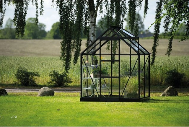 Halls Gewächshaus Icon 6 Schwarz mit 2,5 m² Fläche für deine Pflanzenzucht - Bild 1