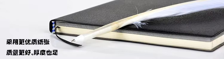 Bandai Death Note Anime Notizbuch-Set mit Leder-Tagebuch, Halskette und Federstift in Schwarz - Bild 4