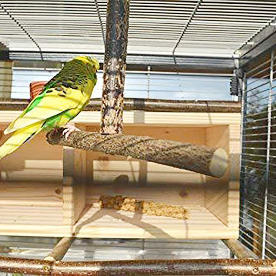 Vogel's Papagei Käfig Spielzeug Training, Naturholz Stand Spielzeug - Bild 3
