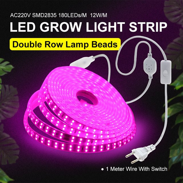 GRAXGROW LED-Pflanzenlichtstreifen mit zweireihigen SMD-Lampenperlen, 12 W/m, wasserdichter Grow Light für Gewächshäuser, Weiß - Bild 1