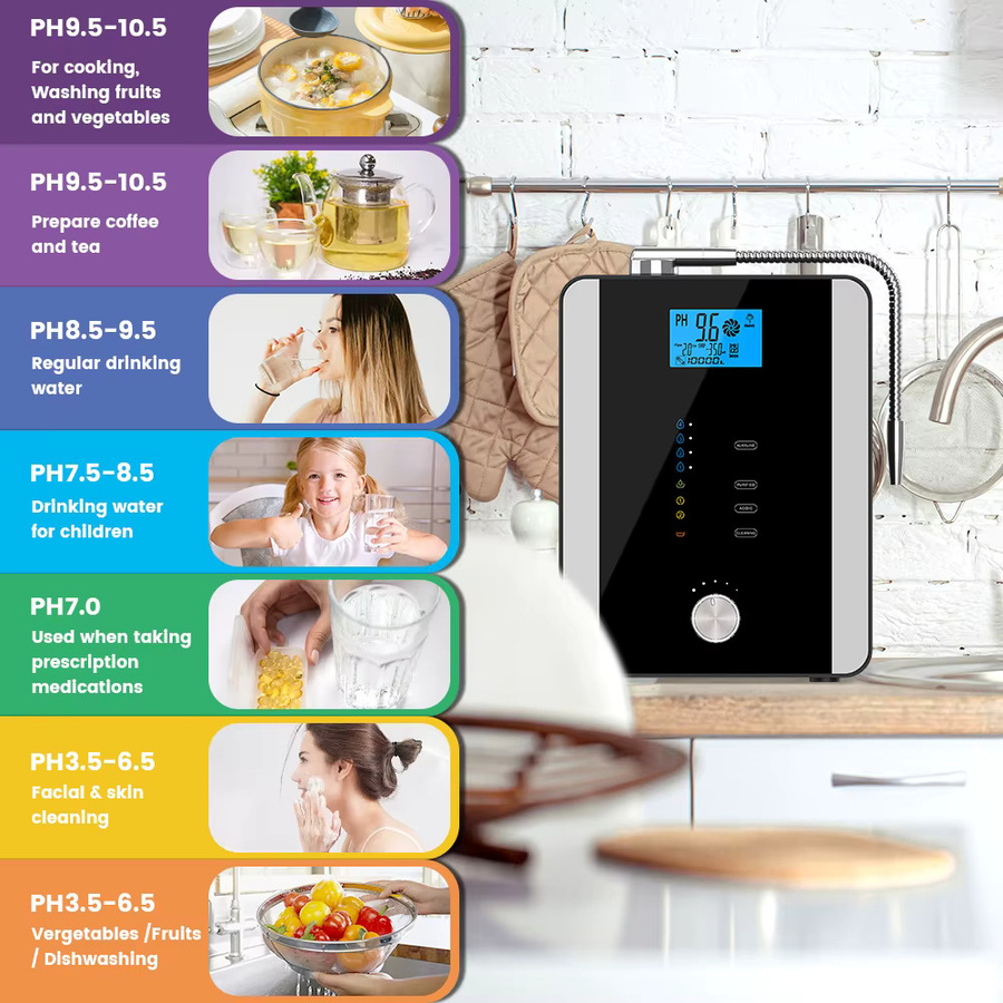 CAWOLO alkalischer Wasserionisator in Schwarz mit 11 platinbeschichteten Platten - Bild 4