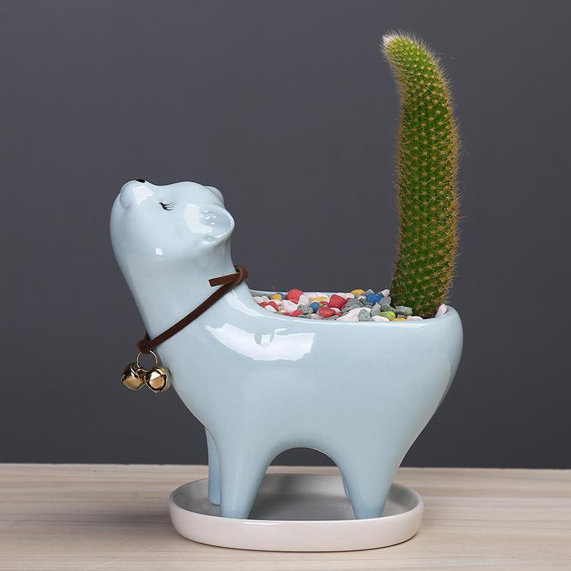 Niedlicher Keramikblumentopf im Katzen-Design von XQWEwanticeFF für Sukkulenten und Kakteen in Weiß, Rosa oder Blau - Bild 2