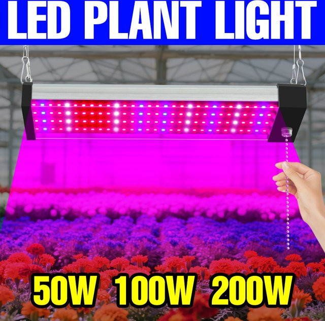 CanLing 300 W LED-Pflanzenwachstumslampe mit Vollspektrum-Quantenbrett aus Aluminium in Schwarz für Indoor-Blumen, Gemüse und Hydrokultur - Bild 1
