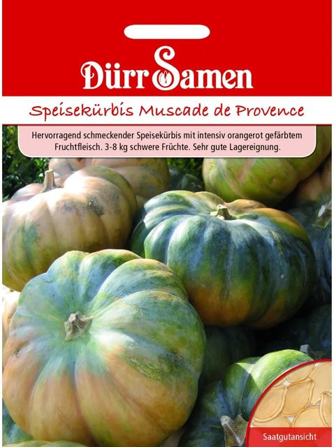 Dürr Samen Muscade De Provence Speisekürbis Saatgut - Bild 1