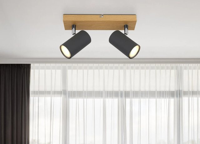 Globo Strahler Robby 2-flammig Graphit B/T/H: 26,0 x 12,0 x 26,0 cm - Bild 1