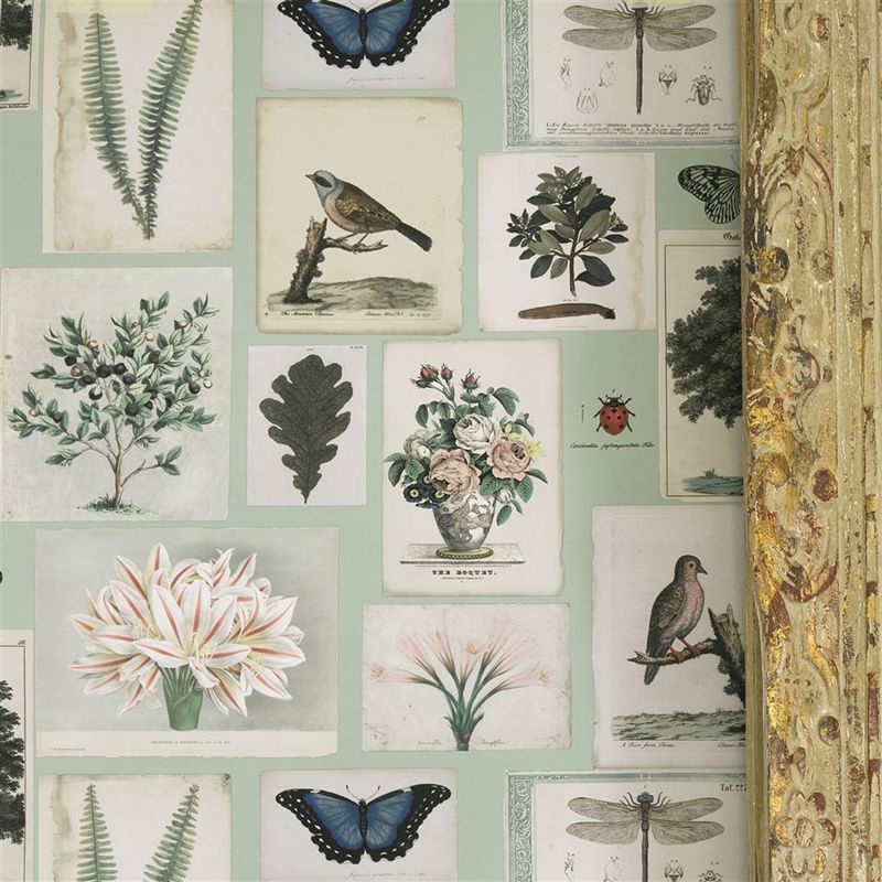 John Derian Tapete Flora and Fauna Botanical Design in Cloud Blue und Multicolour, Vlies-Tapete - Bild 2