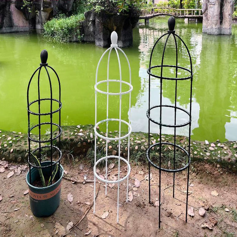 Garten Obelisk Spalier in Schwarz für Kletterpflanzen wie Rosen und Reben - Bild 3