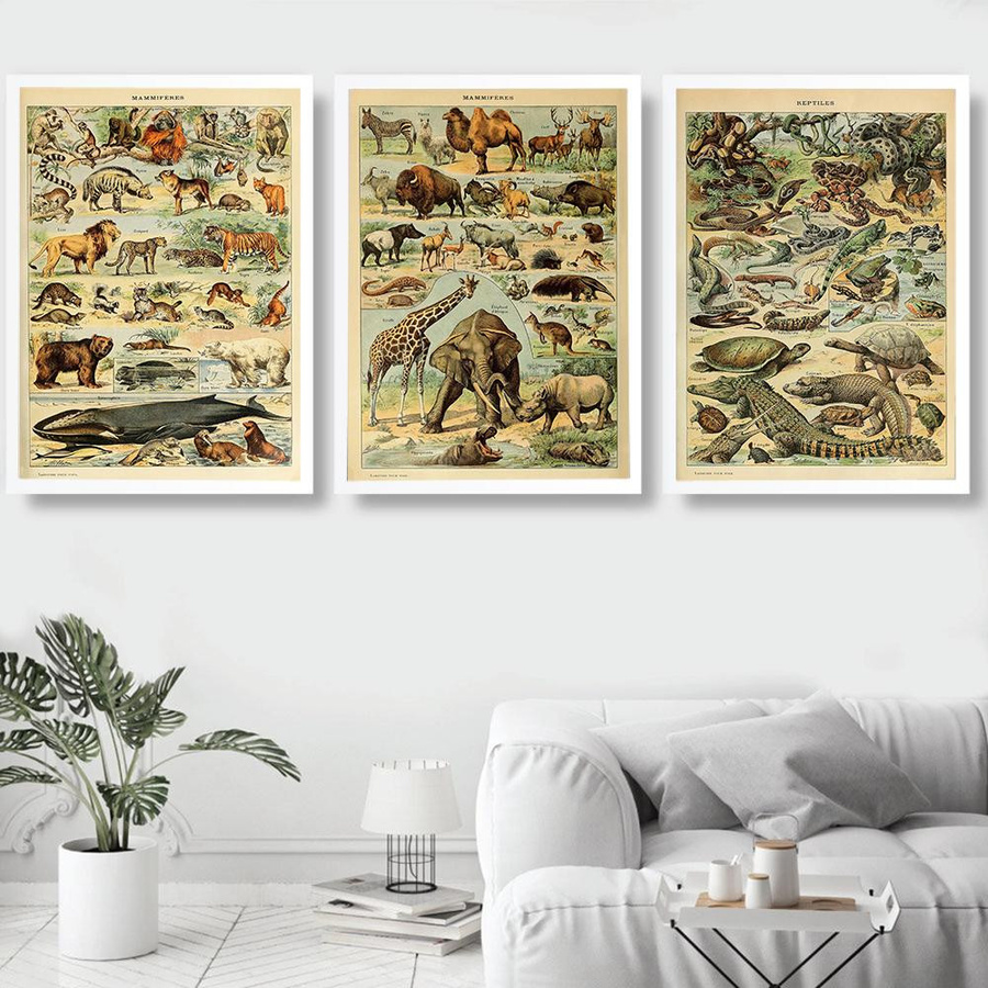 Vintage Leinwandmalerei Adolphe Millot Enzyklopädie Säugetiere Reptilien Insekten Wandkunst B: 60 cm, H: 80 cm - Bild 1