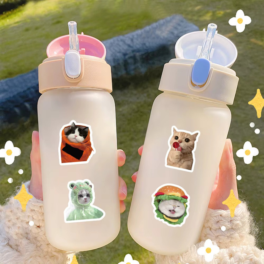 100 Stück realistische Katzen-Aufkleber Set mit niedlichen Kätzchen-Fotografien in Multicolor von YourLife Store - Bild 3