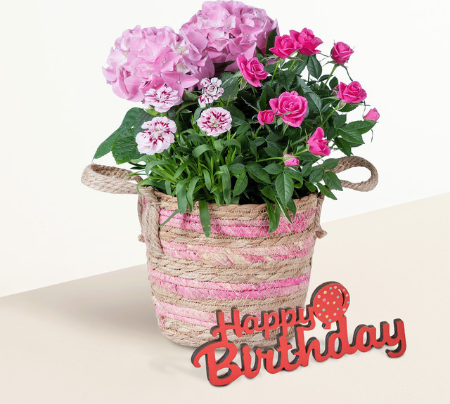 Blütenkorb von BLUME2000 mit Holzschriftzug Happy Birthday in Pink für Balkon, Terrasse und Hauseingang - Bild 1