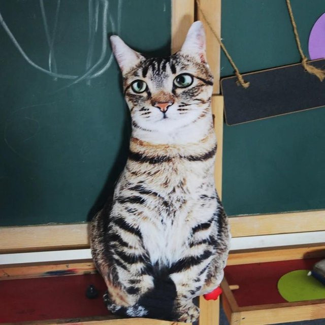 Yiran toy Katze Hund Plüschtiere, Stofftiere, Braun, ab 14 Jahren - Bild 1