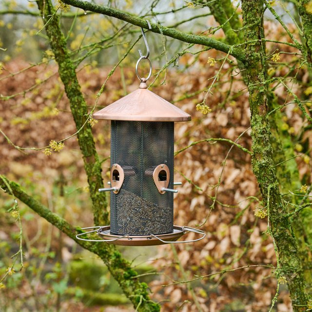 Siena Garden Vogelfuttersäule Feeder Copper Line für Mischfutter, Kupfer/Braun, Höhe: 31 cm - Bild 3