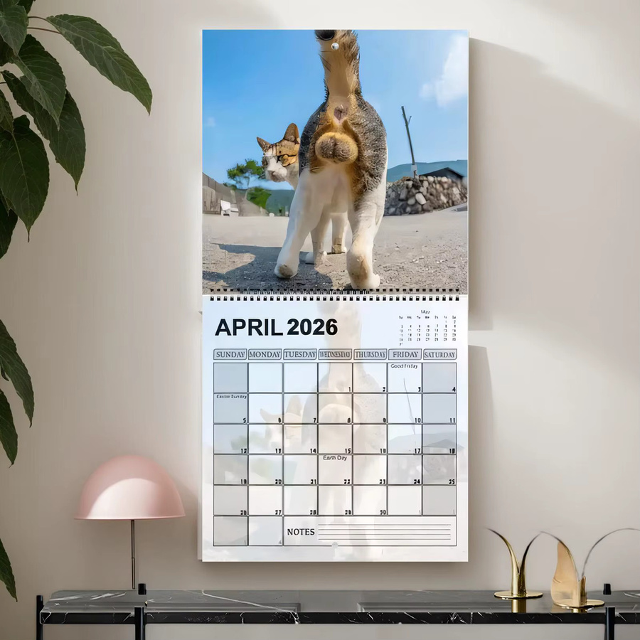 Wandkalender 2026 mit Katzenmotiv als Monatsplaner in Multicolour - Bild 2