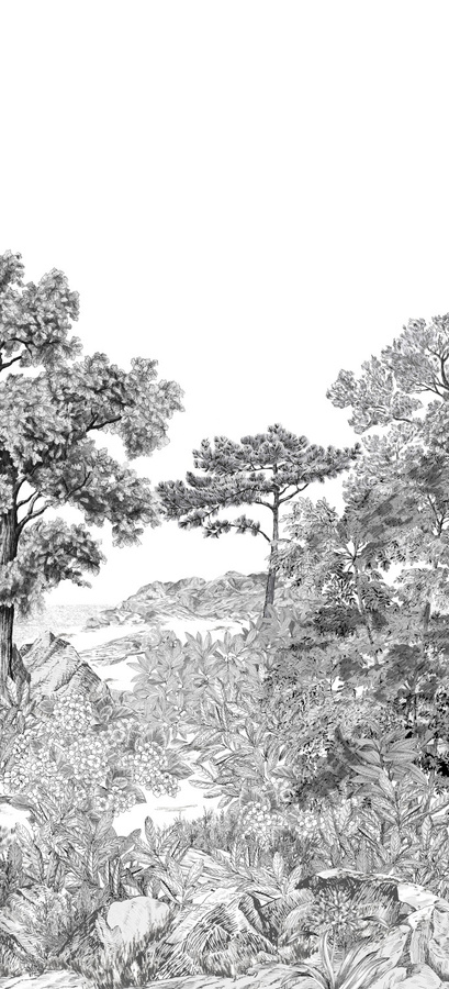 Isidore Leroy Fototapete Panoramadesign Foret de Bretagne Grisaille in Grau, Vlies, Breite: 330 cm, Höhe: 250 cm - Bild 1