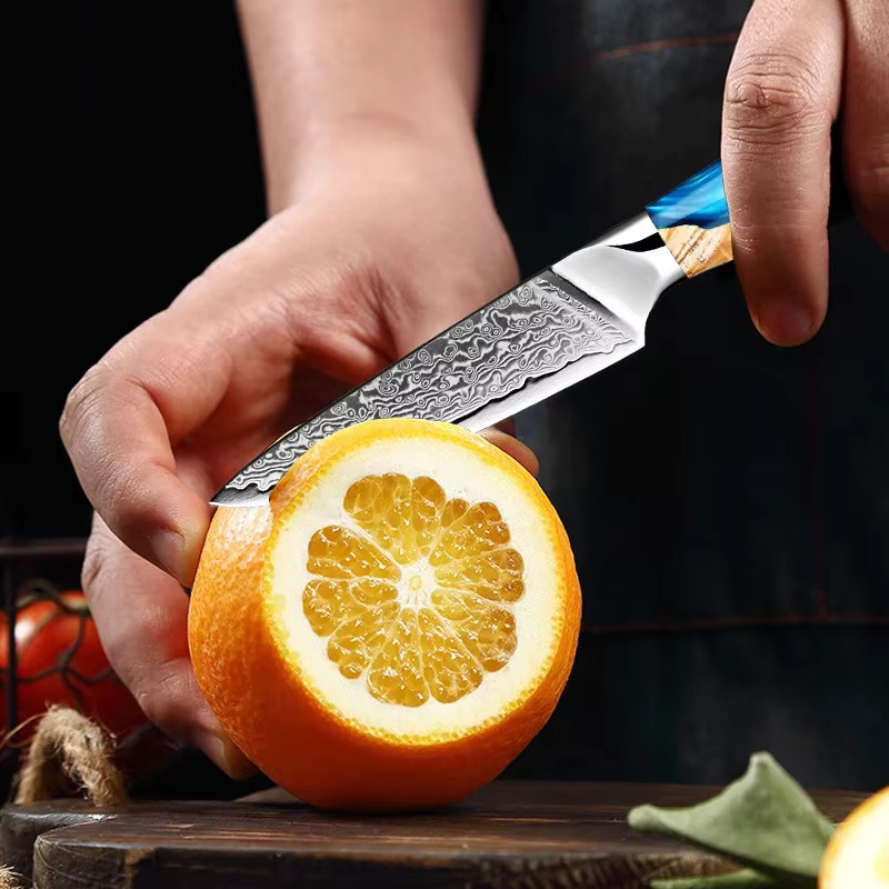 Xituo Japanisches Damaststahl-Küchenmesser-Set mit Harzgriff, 1–6 Stück, bestehend aus Santokumes, Allzweckmessern, Ausbeinmessern, Kochmessern und Obstmessern - Bild 5
