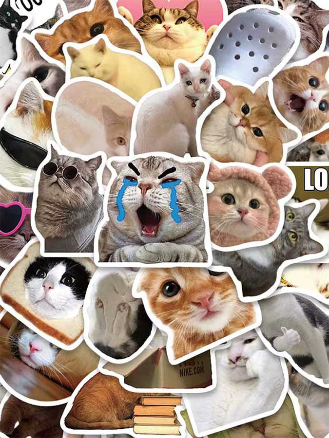50 Stück Lustige Katze Meme Aufkleber in Multicolour zur Dekoration von Tagebuch, Kühlschrank und Rucksack - Bild 4