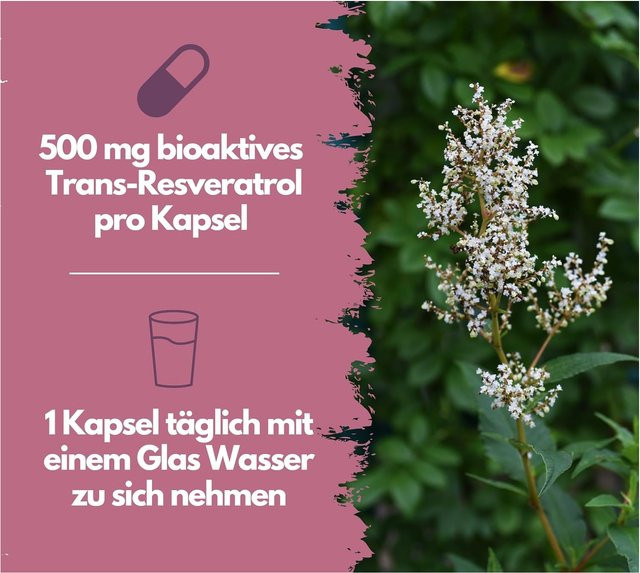 EXVital Resveratrol Kapseln, 120 Kapseln - Bild 1