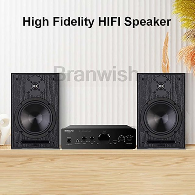 Branwish Passive Regallautsprecher in Schwarz, 6,5-Zoll Zwei-Wege-Surround-Sound Soundbox mit 100W*2 und 8 Ohm für Heimkino und Studio - Bild 1