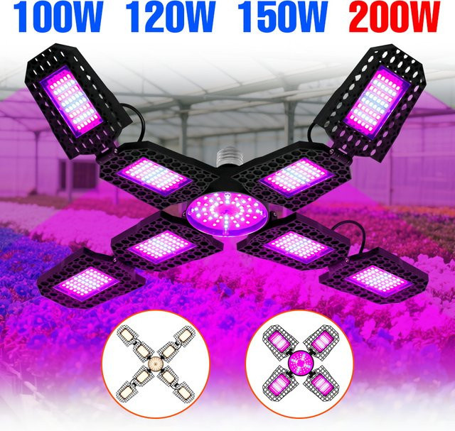 LED Vollspektrum Pflanzenlampe E27 für Hydrokultur und Gewächshaus zur Beleuchtung von Tomaten und Gemüse in Mehrfarbig - Bild 1