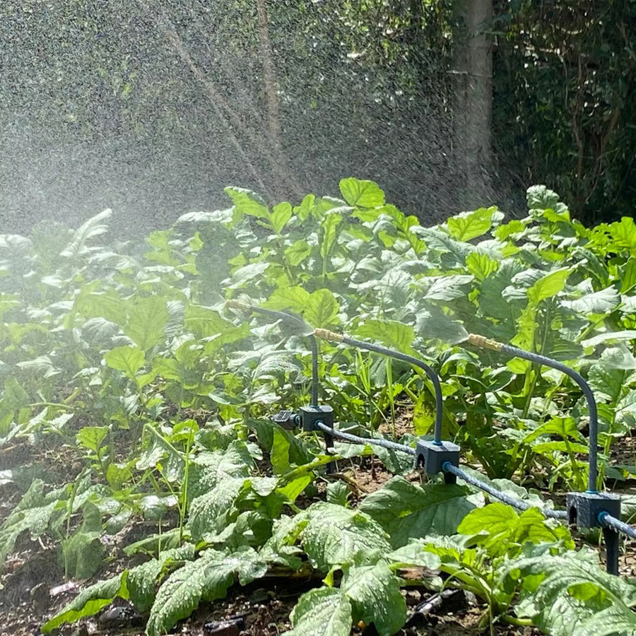 SPRYCLE Gartenbewässerungssystem mit Timer und 360 Grad Messing Kühlsprinkler in Gold - Bild 2