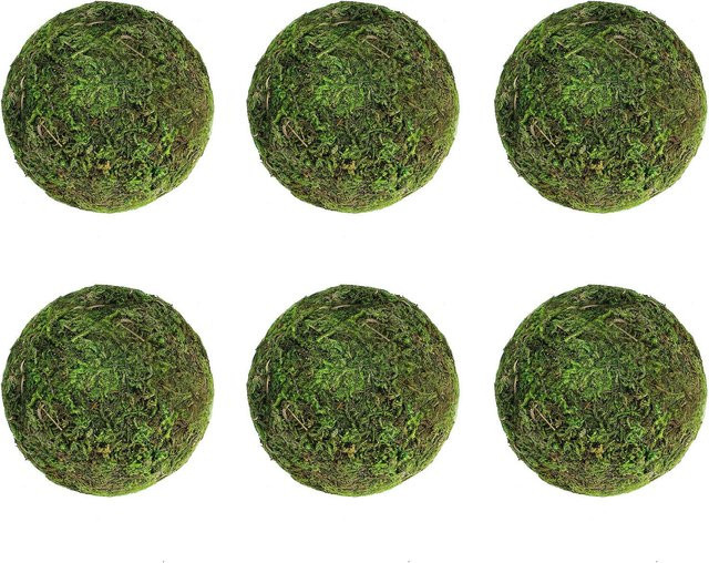 6er Set Moos-Dekokugeln von OutsideWorld in Grün, Durchmesser: 10 cm, ideal als Füller für Vasen, Schalen und zur Dekoration von Weihnachten, Garten oder Hochzeiten - Bild 1