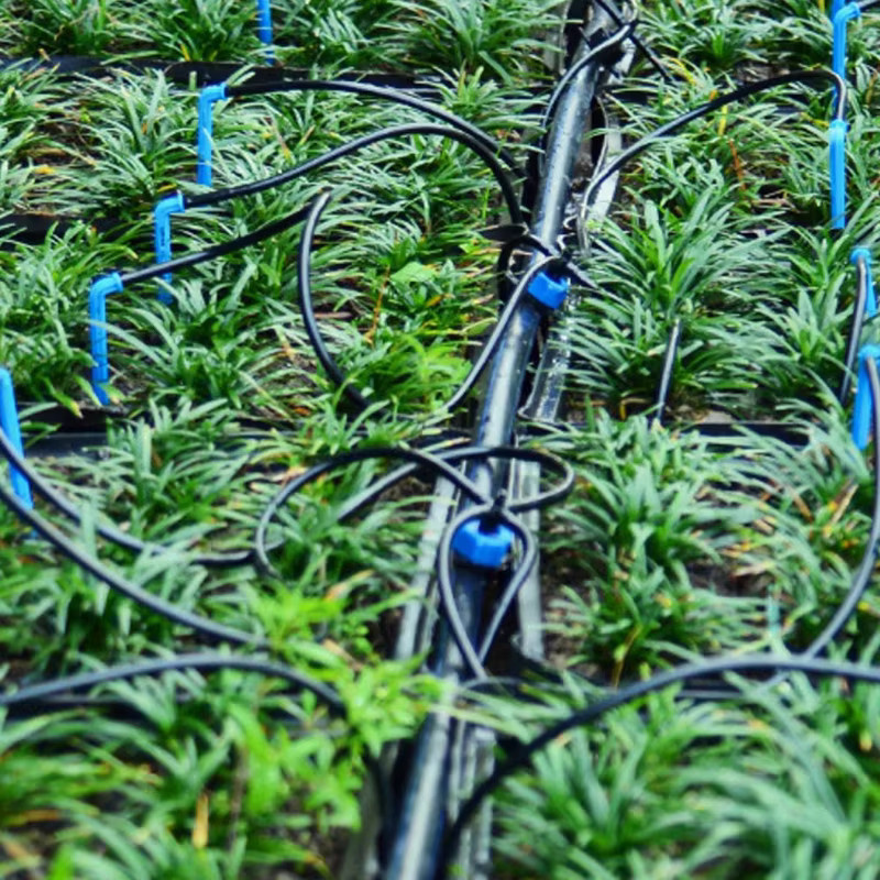 Automatisches Bewässerungssystem-Kit mit 4-Wege-Tropfpfeilen für Gewächshaus und Garten, 5er-Set, 8l - Bild 3