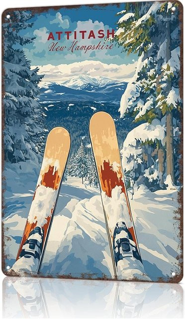 Ski-Wanddekoration aus Metall im Vintage-Stil von CIFBUY, Mehrfarbig, B/H: 20,3 x 30,5 cm - Bild 1
