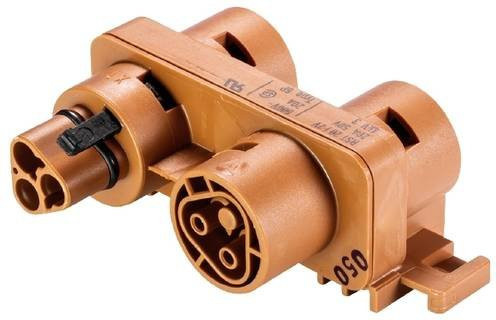 Wieland Electric Verteiler 96.020.0151.4 in Orange - Bild 1