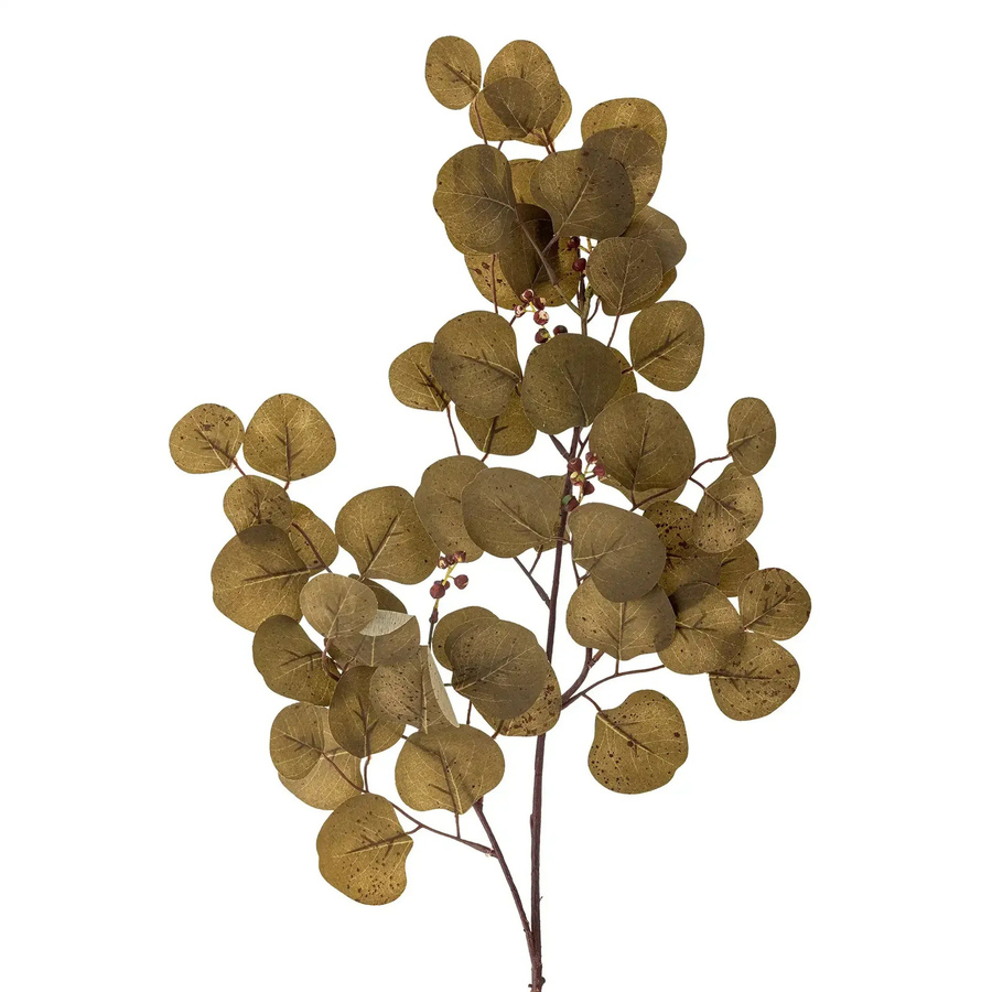 Bloomingville Eukalyptus in Braun im skandinavischen Design - Bild 1