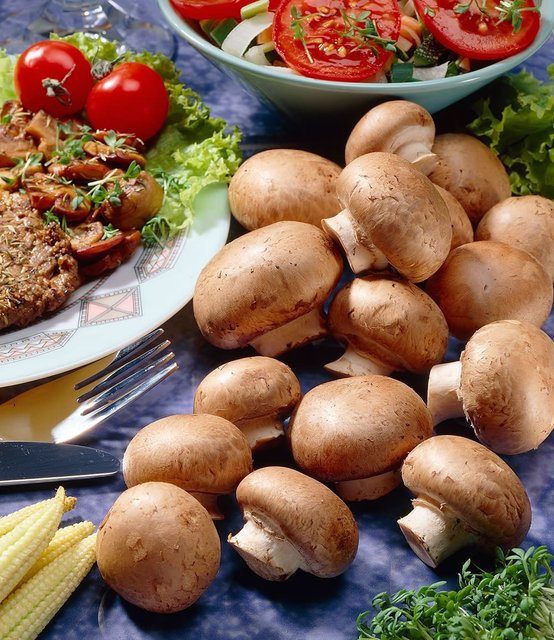 Kulturset Braune Steinchampignons - Bild 1