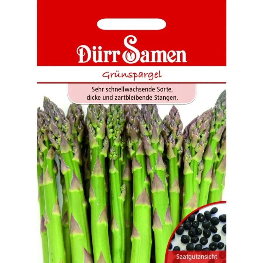 Dürr Grünspargel Saatgut für den Gemüsegarten - Bild 2