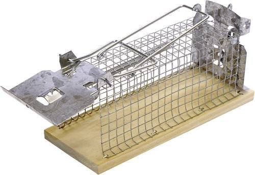 Swissinno Mouse Classic Lebendfalle in Silber - Bild 1