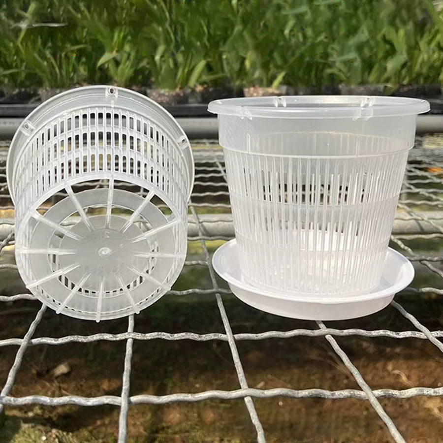 5-teiliges LEENKEA Meshpot Set aus transparentem Kunststoff mit Tablett für Orchideen und Zimmerpflanzen - Bild 3